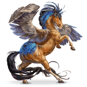 bird wandering horse alcedo