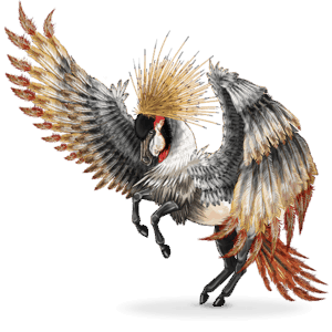 bird wandering horse balearica