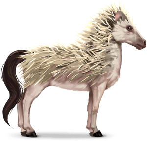 wild horse hedgehog