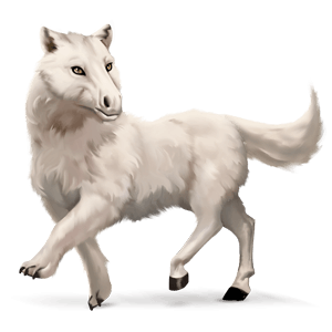 wild horse arctic fox