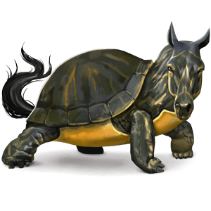 wild horse turtle