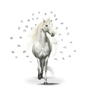 bird wandering horse pavos